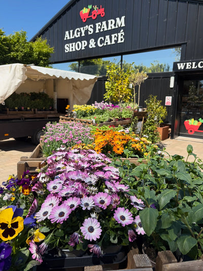 Algy's Farm Shop