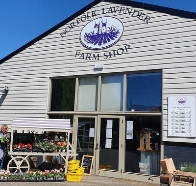 Norfolk Lavender Farm Shop